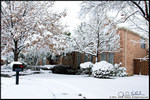 DigitalScape Photography